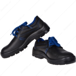 Foster F500TRNS244 Tiran